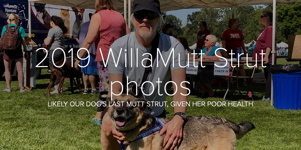 2019 WillaMutt Strut photos