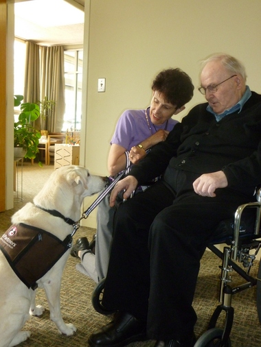 Dog minister Dog minister