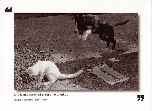 Life is one damned thing after another Life is one damned thing after another