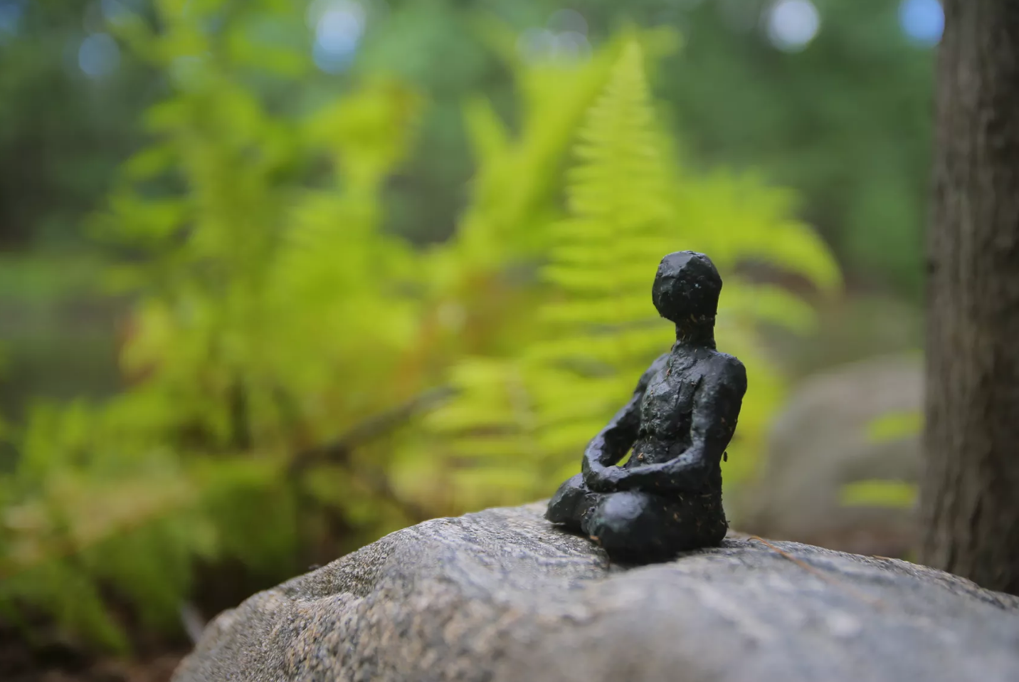 Screen Shot 2017-02-28 at 8.51.52 PM Screen Shot 2017-02-28 at 8.51.52 PM