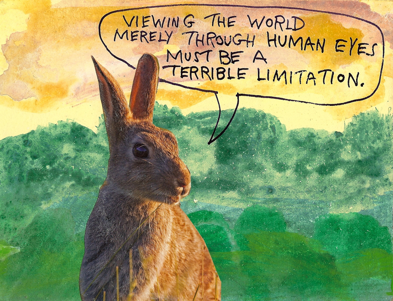 Human eyes Human eyes