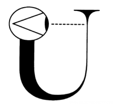 Universe looks at itself Universe looks at itself