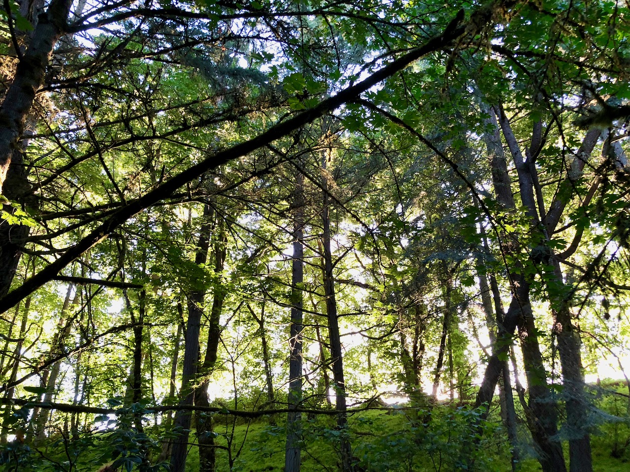 June sunset June sunset