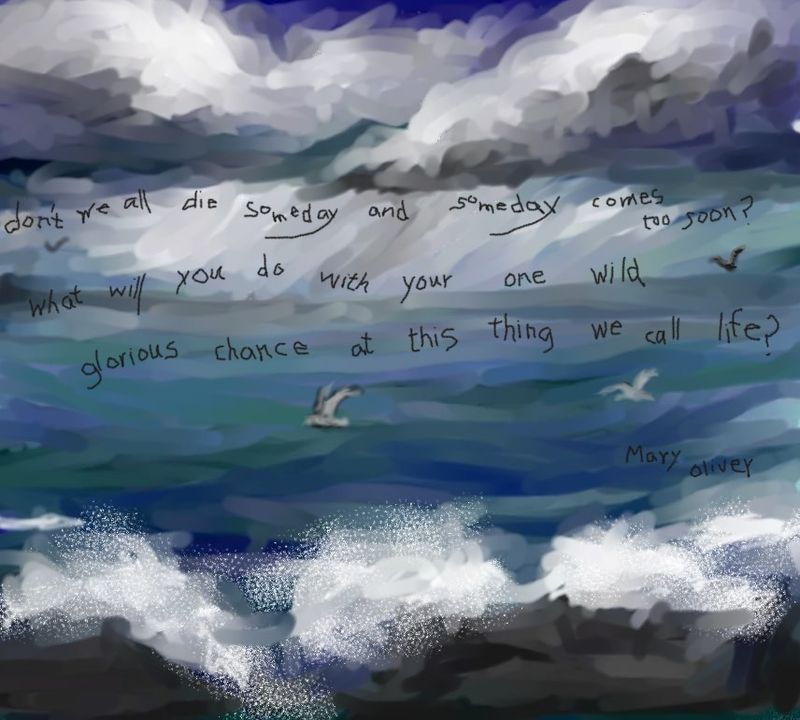 Precious life image Precious life image