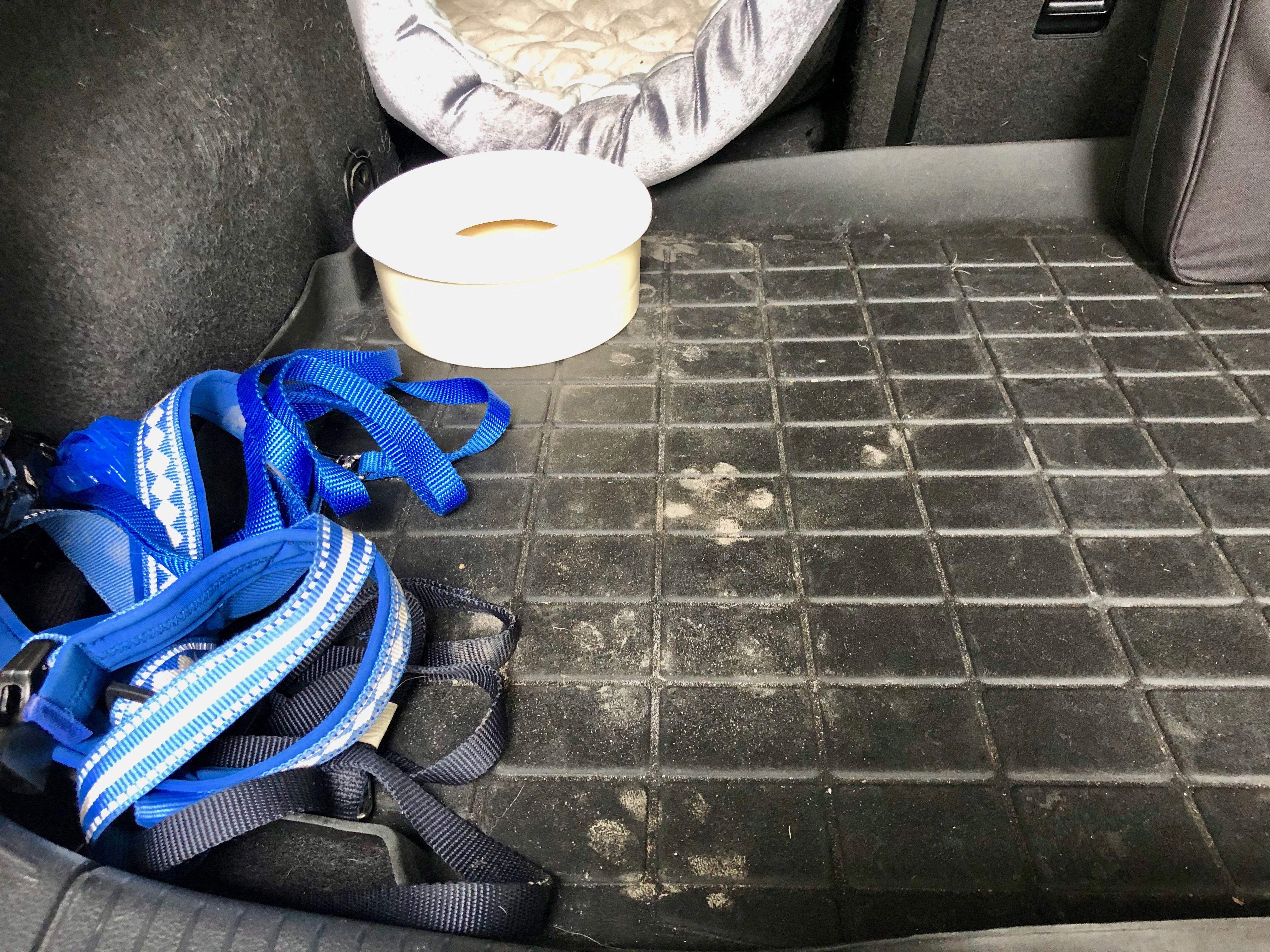 ZuZu paw prints ZuZu paw prints