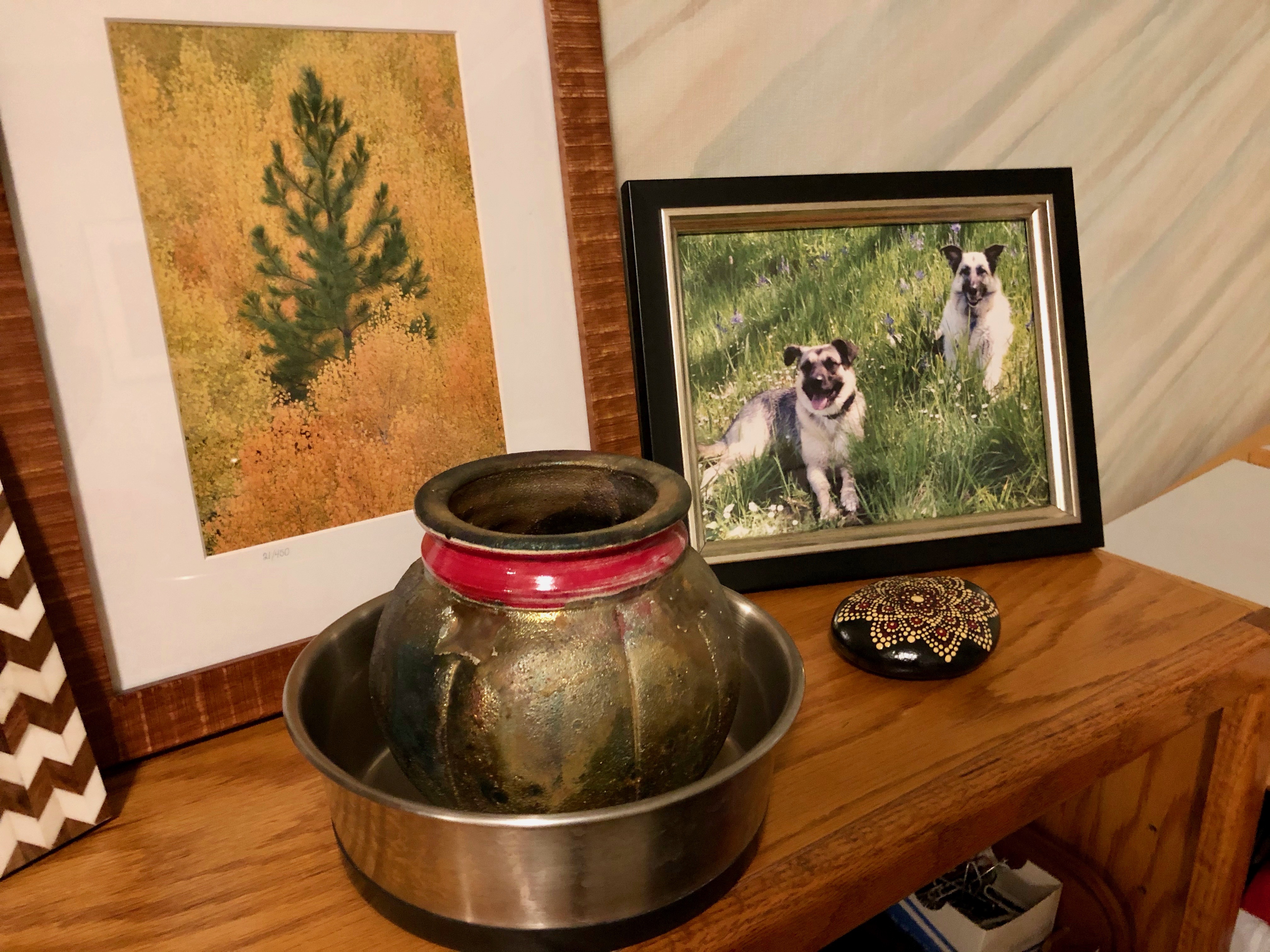 ZuZu food bowl ZuZu food bowl