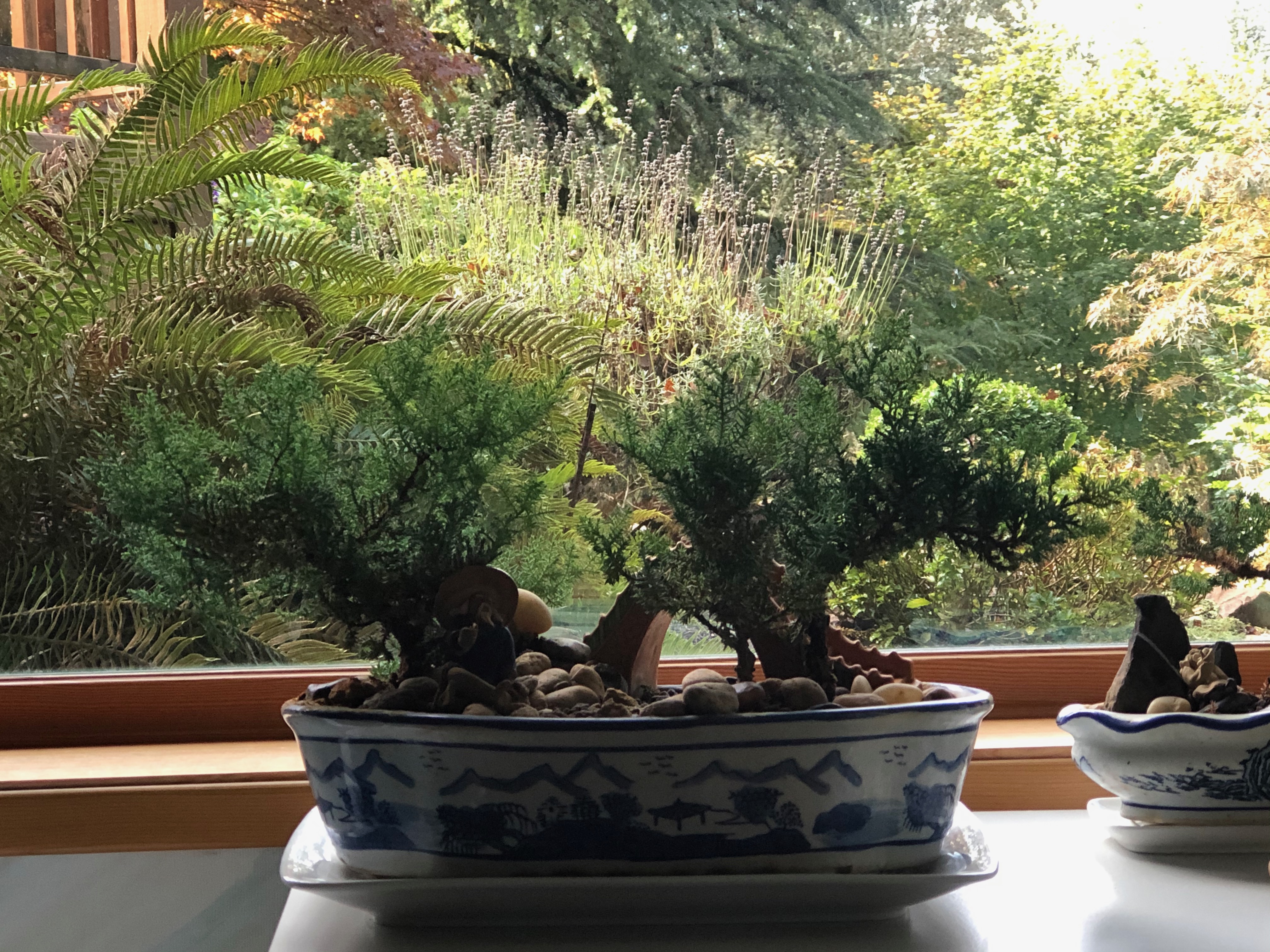 Dragon sculpture hidden Dragon sculpture hidden