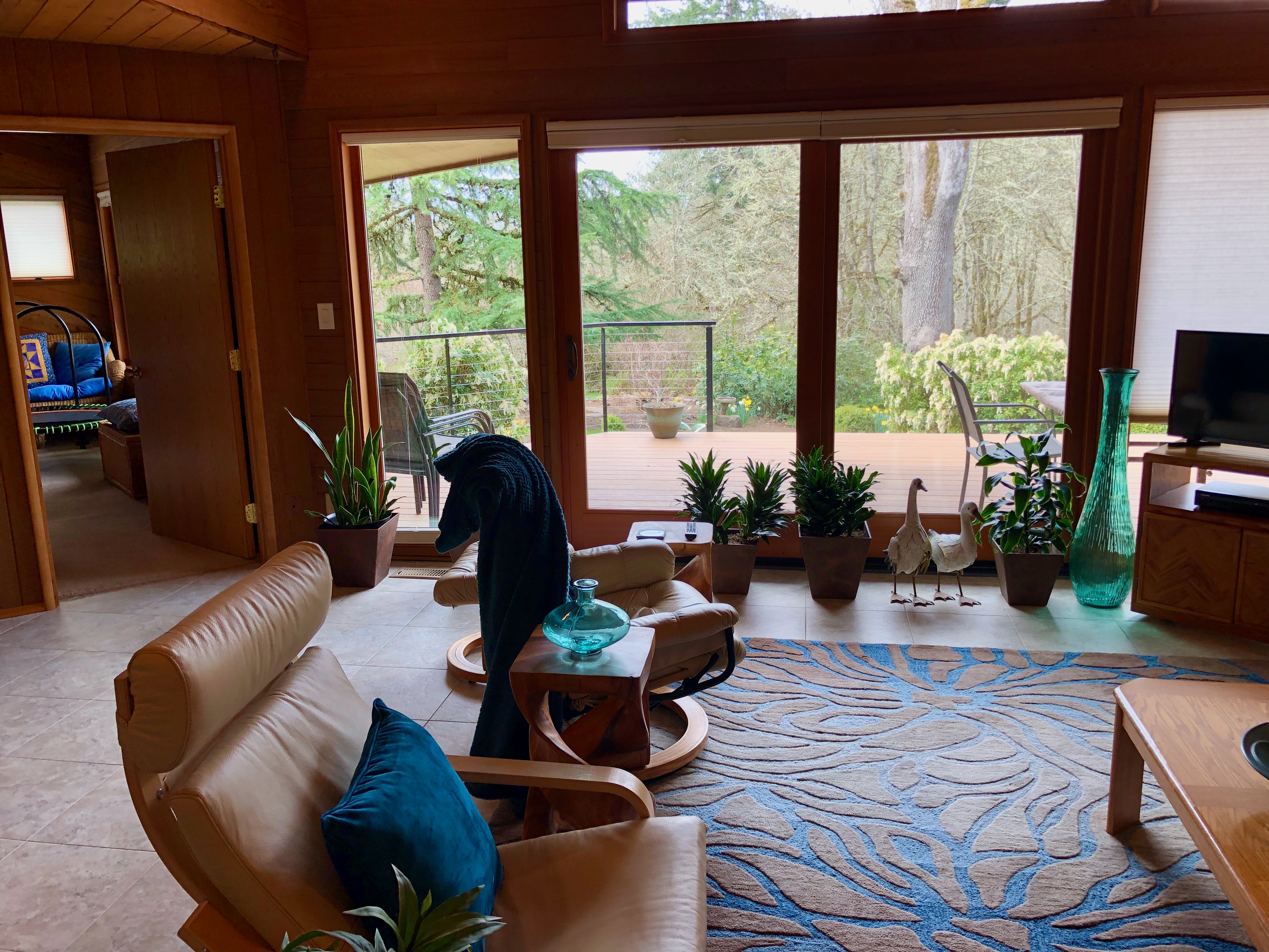 Apartment living room Apartment living room