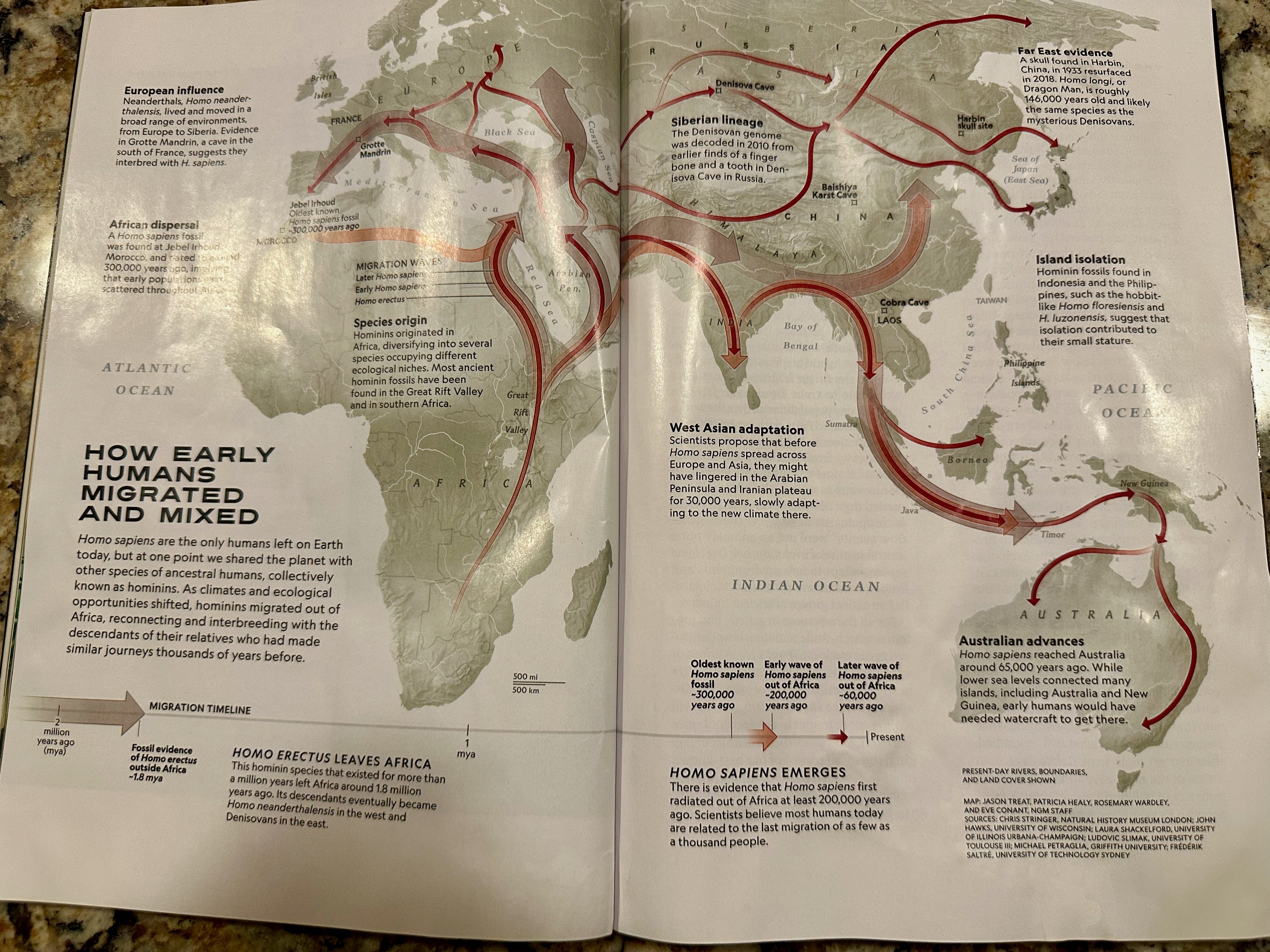 Early humans 1 Early humans 1